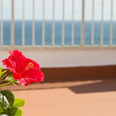 Apartment Lighthouse Penthouse Cullera
